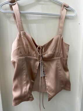 Dynamite Blush Pink Lace-Up Satin Bustier Top
